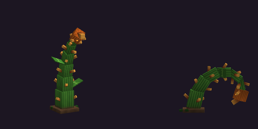 vignette